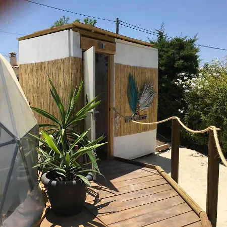 Luxury Glamping *