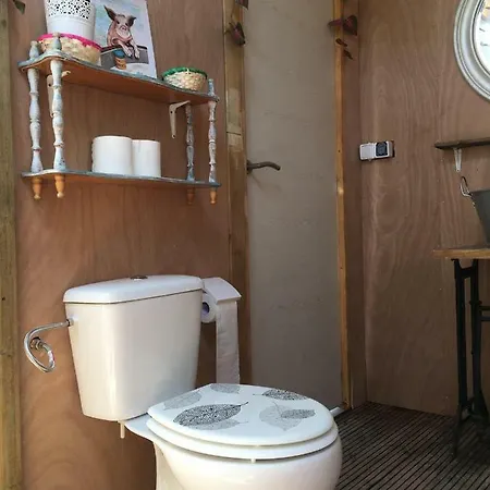 Luxury Glamping